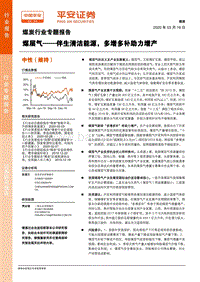 煤炭行业专题报告：煤层气——伴生清洁能源，多增多补助力增产.pdf