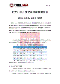 2019年12月月度宏观经济预测报告.pdf
