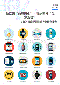 智能硬件终端行业研究报告.pdf