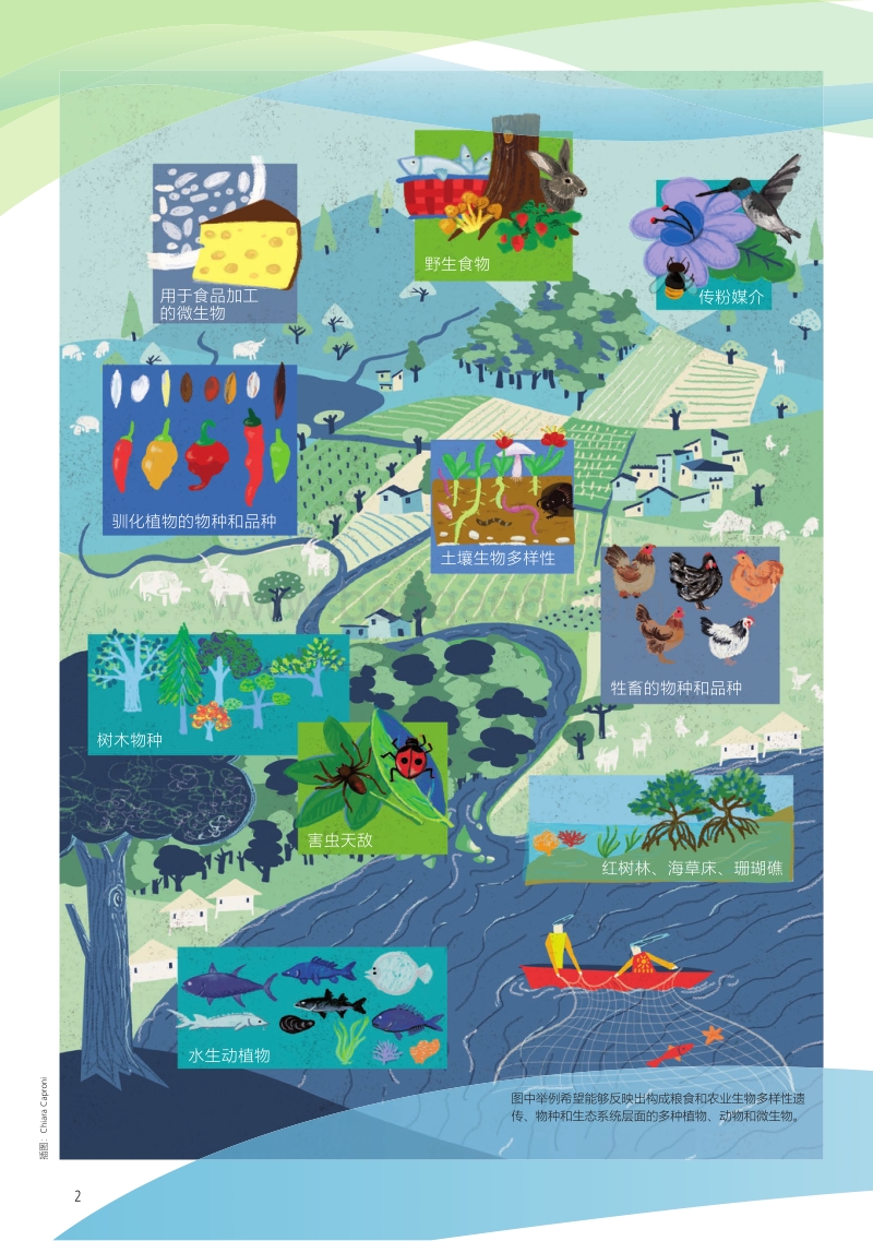 世界粮食和农业生物多样性状况.pdf_第2页