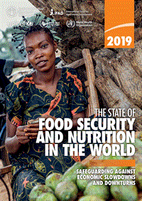 2019年世界粮食安全与营养状况（英文版）.pdf