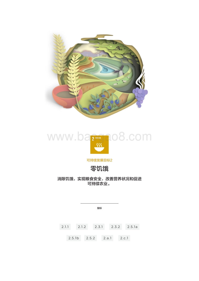 跟踪粮食和农业相关可持续发展目标指标的进展.pdf_第5页