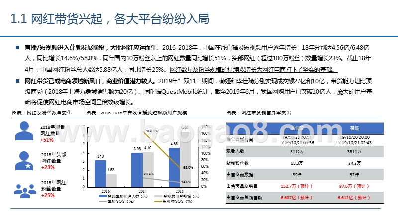 2020网红电商调研报告.pptx_第5页