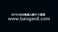 2019-2020电商人群研究报告.pptx