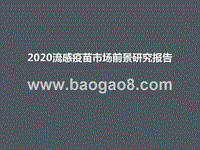 2020流感疫苗市场前景研究报告.pptx
