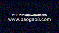 2019-2020母婴人群洞察报告.pptx