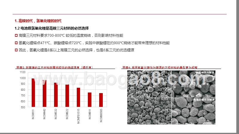 2020氢氧化锂市场展望分析报告.pptx_第5页