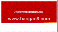 2020氢氧化锂市场展望分析报告.pptx