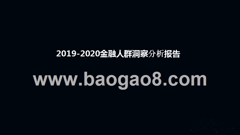 2019-2020金融人群洞察分析报告.pptx_第1页