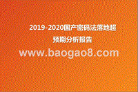 2019-2020国产密码法落地超预期分析报告.pptx