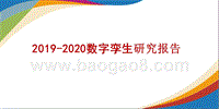 2019-2020数字孪生研究报告.pptx
