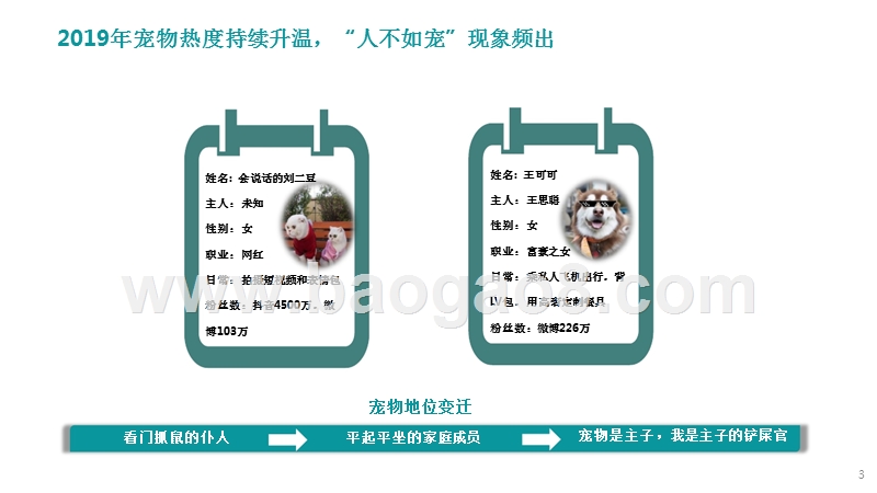 2019-2020中国宠物行业研究报告.pptx_第3页