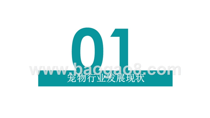 2019-2020中国宠物行业研究报告.pptx_第4页
