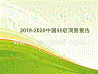 2019-2020中国95后洞察报告.pptx