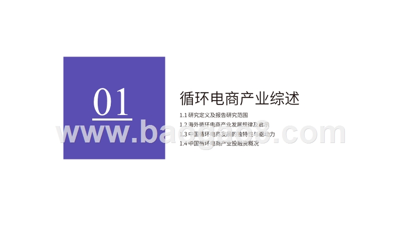 2019-2020循环电商产业研究报告.pptx_第3页