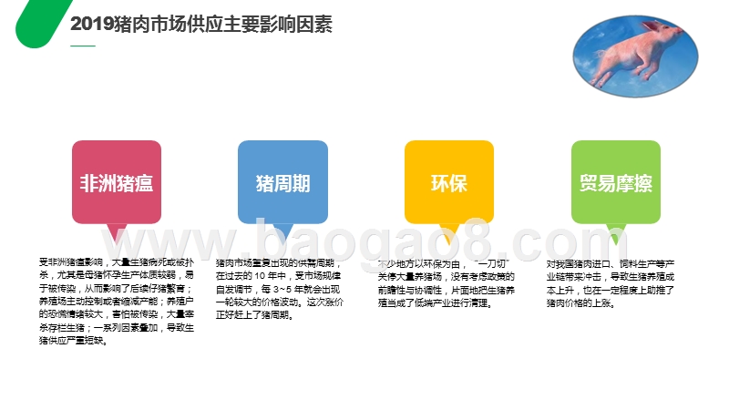 2019-2020猪肉市场变化冷链物流行业分析报告.pptx_第5页