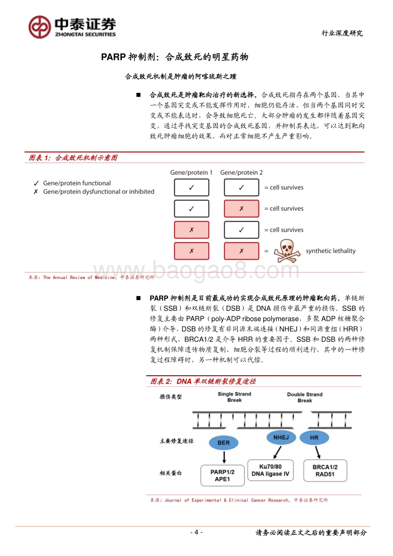 创新药梳理系列：适应症横跨多个癌种，PARP抑制剂前景广阔.pdf_第4页