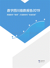 2019数字四川指数报告.pdf