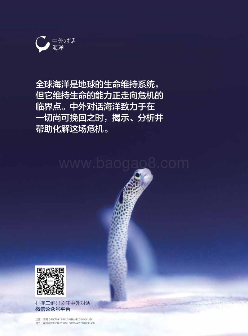 海洋生物多样性特刊.pdf_第2页