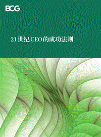 21世纪CEO的成功法则.pdf