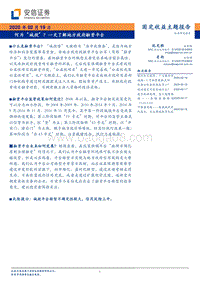 何为“城投”？一文了解地方政府融资平台.pdf