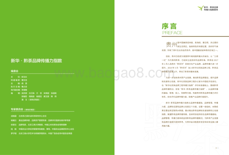 2019新华·黔茶品牌传播力指数报告.pdf_第3页