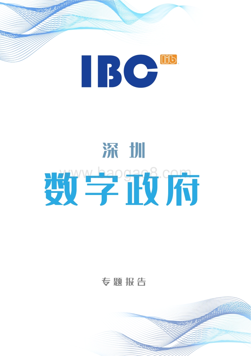深圳数字政府专题报告.pdf_第1页