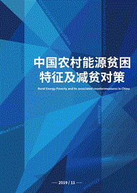 中国农村能源贫困特征及减贫对策.pdf