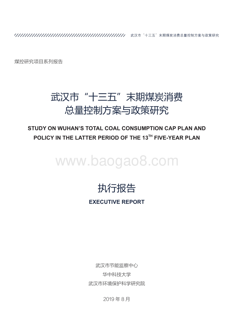武汉市“十三五”末期煤炭消费总量控制方案与政策研究.pdf_第3页