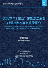 武汉市“十三五”末期煤炭消费总量控制方案与政策研究.pdf