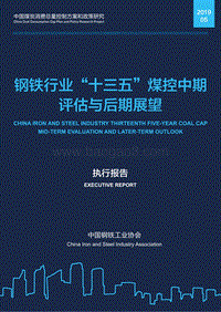 钢铁行业“十三五”煤控中期评估与后期展望.pdf