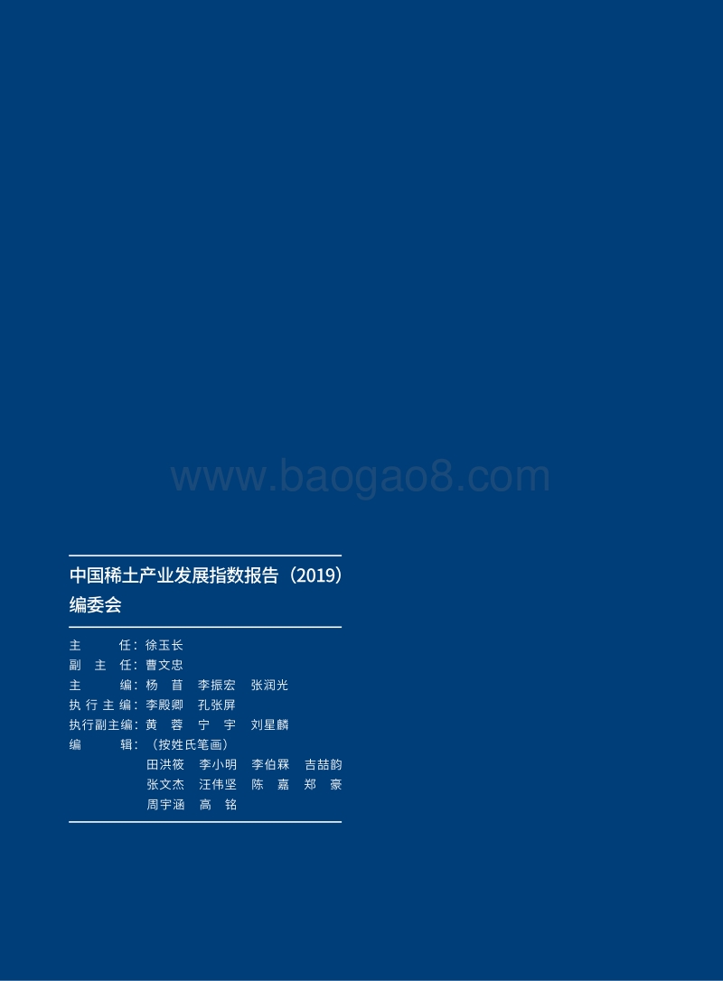 2019中国稀土产业发展指数报告.pdf_第3页