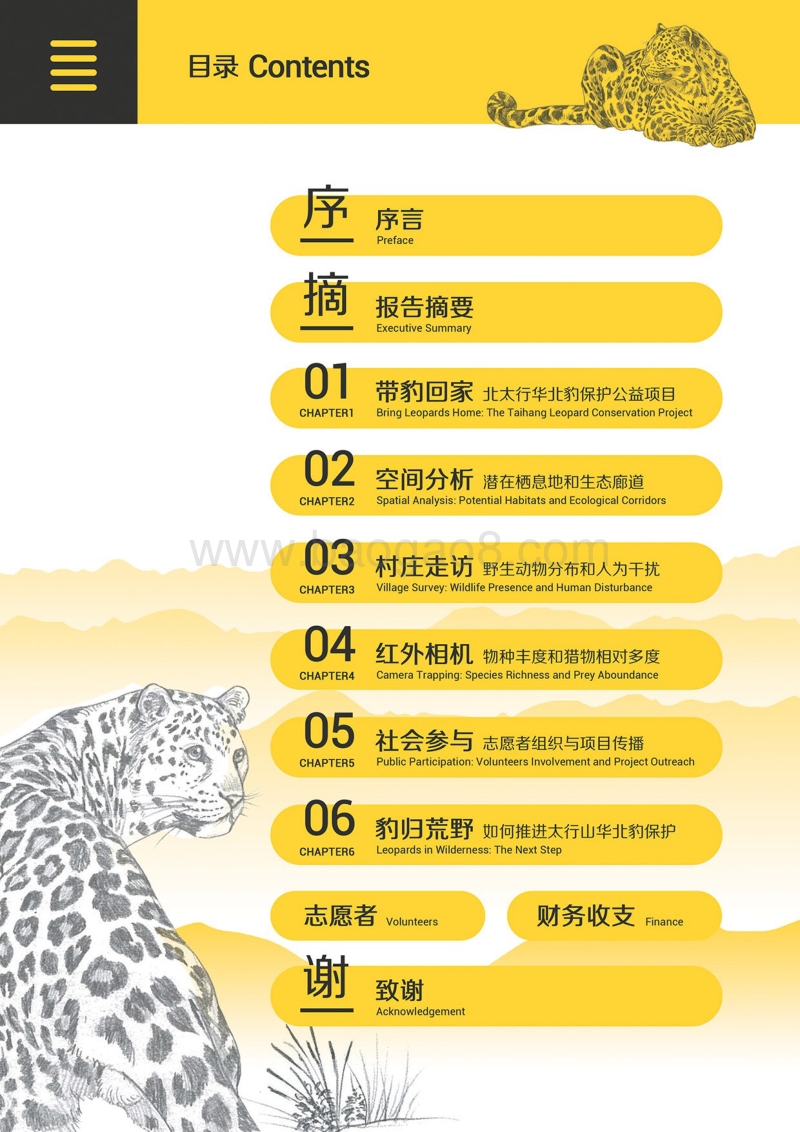 2017带豹回家年度报告.pdf_第4页