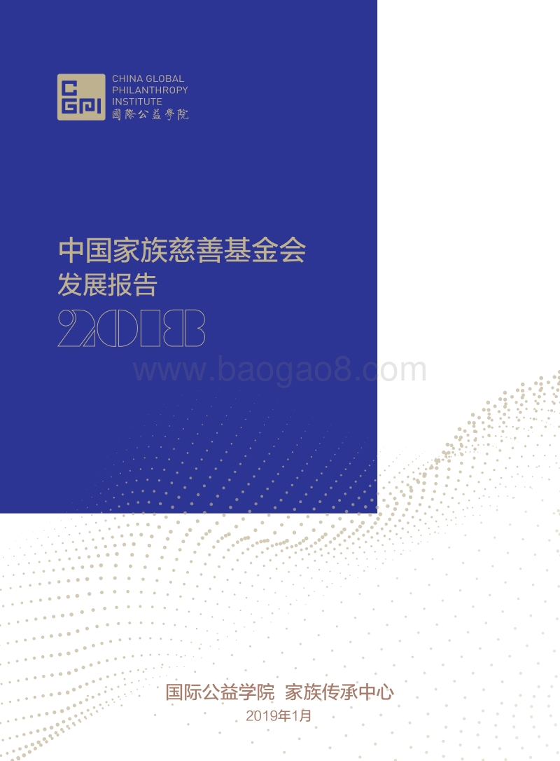 2018中国家族慈善基金会发展报告.pdf_第1页