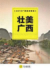 2019广西旅游报告.pdf