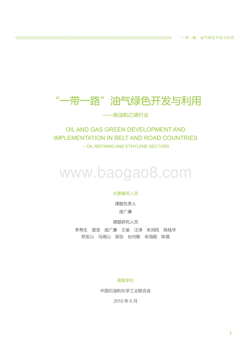 “一带一路”油气绿色开发与利用：炼油和乙烯行业.pdf_第3页