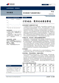 纺织服装产业链梳理专题一：沙里淘金，聚焦运动黄金赛道.pdf
