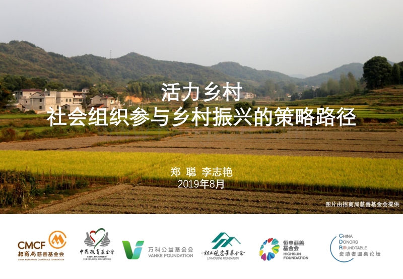 活力乡村：社会组织参与乡村振兴的策略路径.pdf_第1页