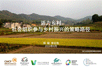 活力乡村：社会组织参与乡村振兴的策略路径.pdf