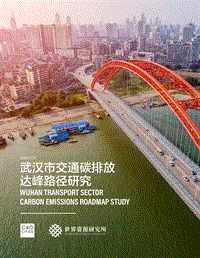 武汉市交通碳排放达峰路径研究.pdf
