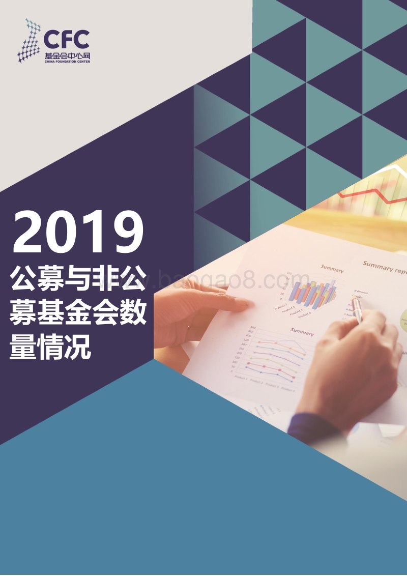 2019公募与非公募基金会数量情况.pdf_第1页