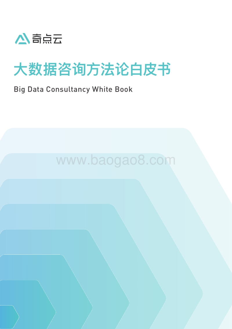大数据咨询方法论白皮书.pdf_第1页