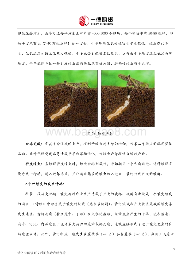 中东蝗灾和国内草地贪夜蛾的影响简析：虫虫欲动，新季农产品或面临威胁.pdf_第3页