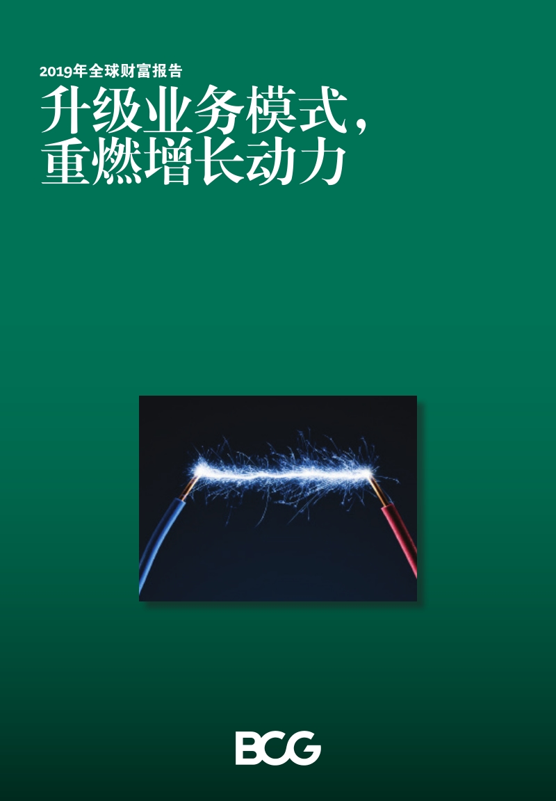 2019年全球财富报告.pdf_第1页