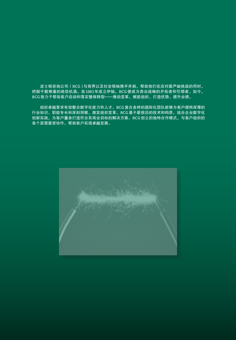 2019年全球财富报告.pdf_第2页