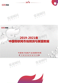 2019-2021年中国物联网市场预测与展望数据.pdf