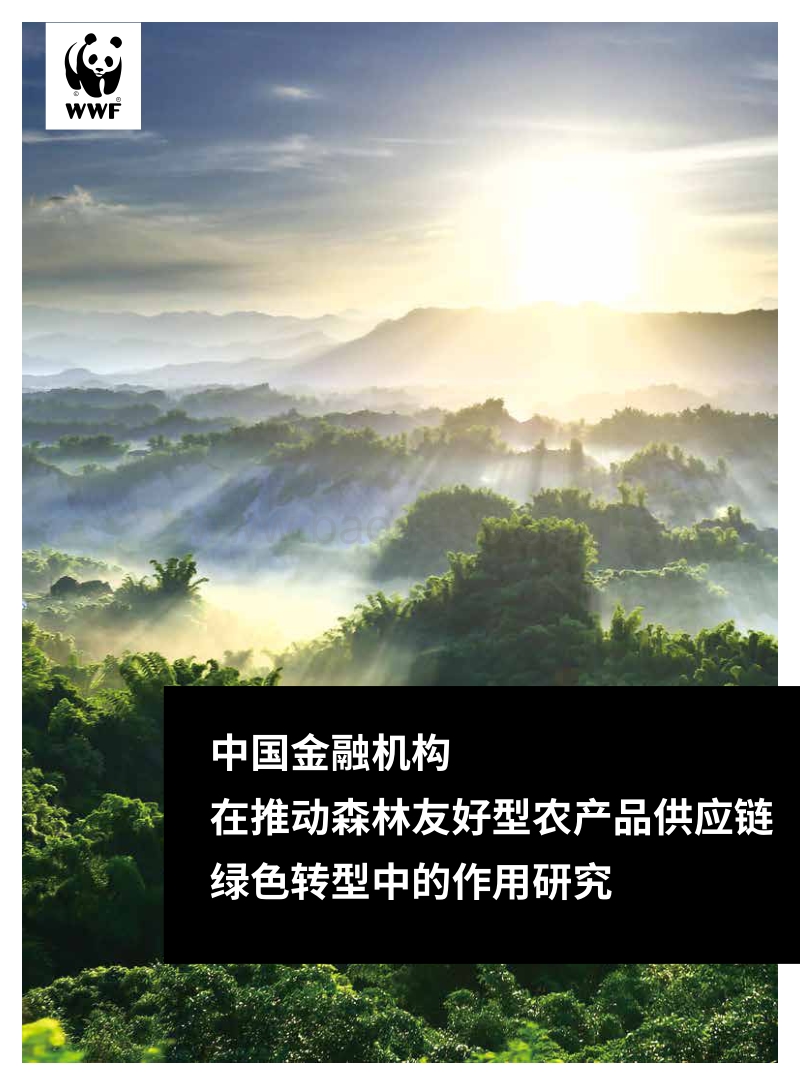 中国金融机构在推动森林友好型农产品供应链绿色转型中的作用研究.pdf_第1页