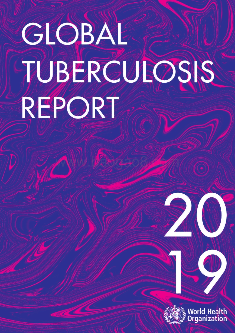 2019全球结核病报告（英文版）.pdf_第1页