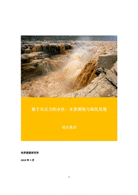 基于水压力的水价、水资源税与绿色发展项目报告.pdf