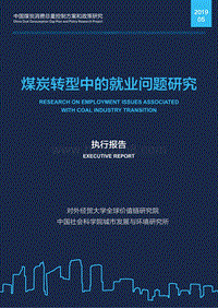 煤炭转型中的就业问题研究.pdf